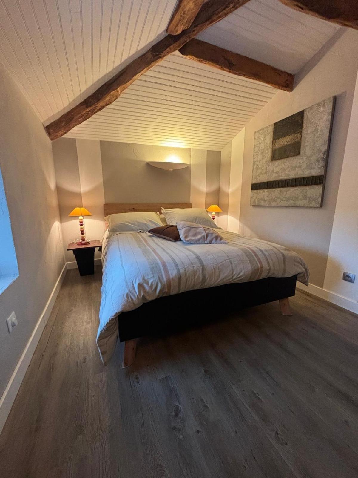 Le Marais Des Littes Apartment Chonas-l'Amballan ภายนอก รูปภาพ