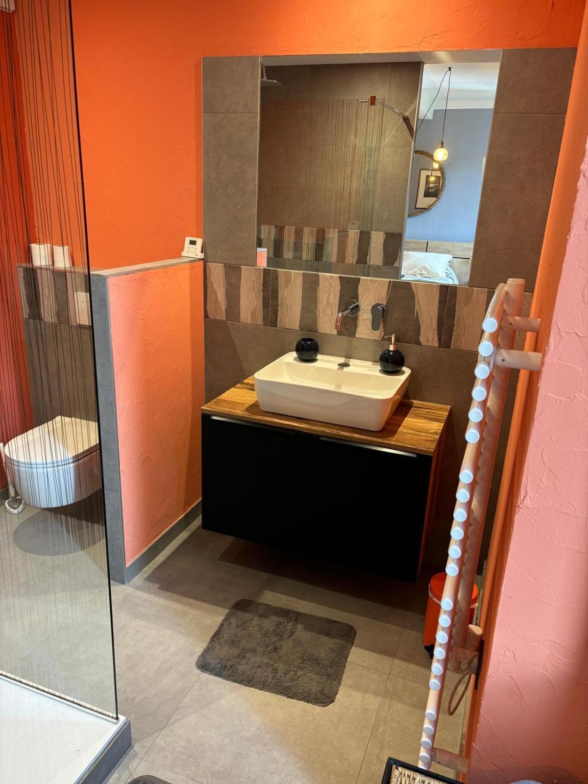 Le Marais Des Littes Apartment Chonas-l'Amballan ภายนอก รูปภาพ