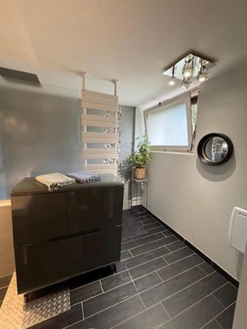 Le Marais Des Littes Apartment Chonas-l'Amballan ภายนอก รูปภาพ