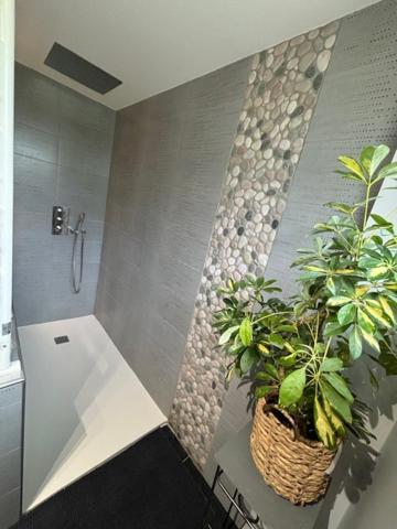 Le Marais Des Littes Apartment Chonas-l'Amballan ภายนอก รูปภาพ